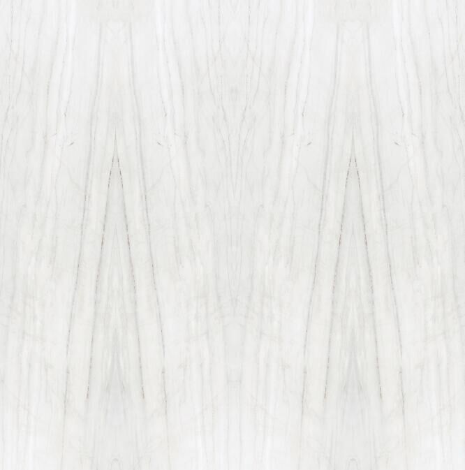 阿尔卑斯 P715R502