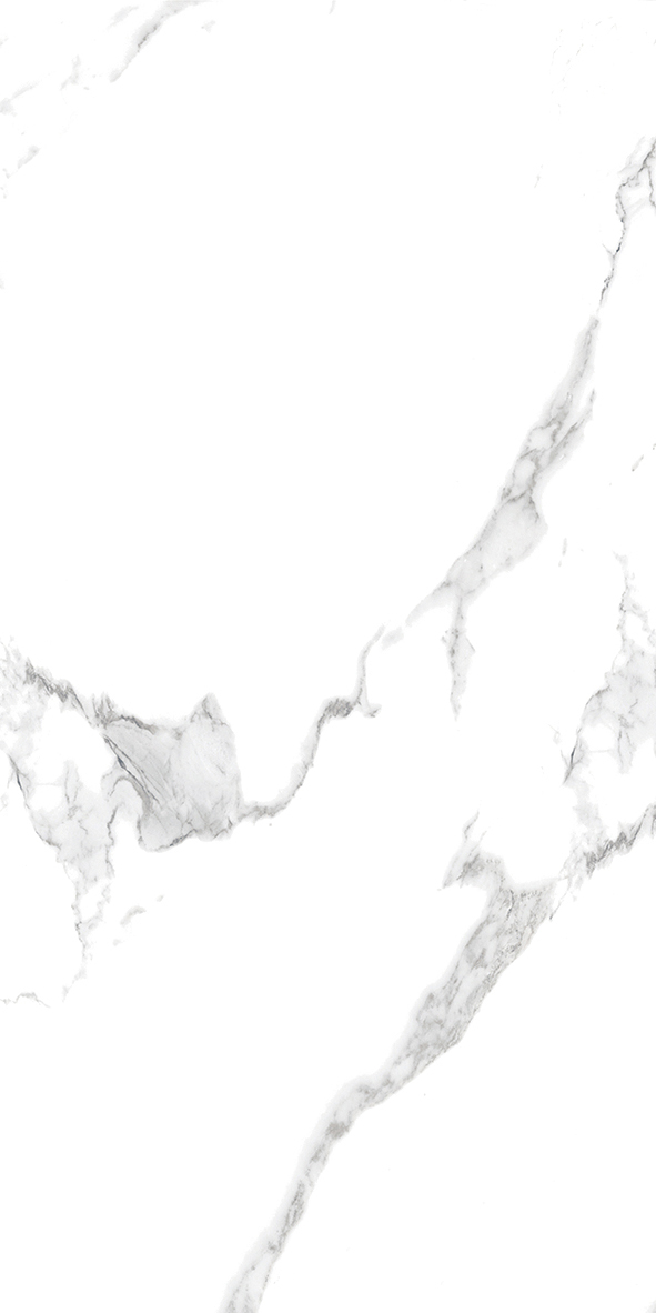 BF612002-1  600*1200mm