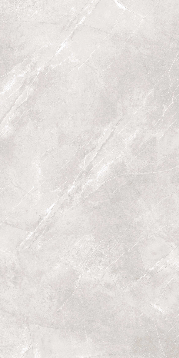 BF612019-3  600*1200mm